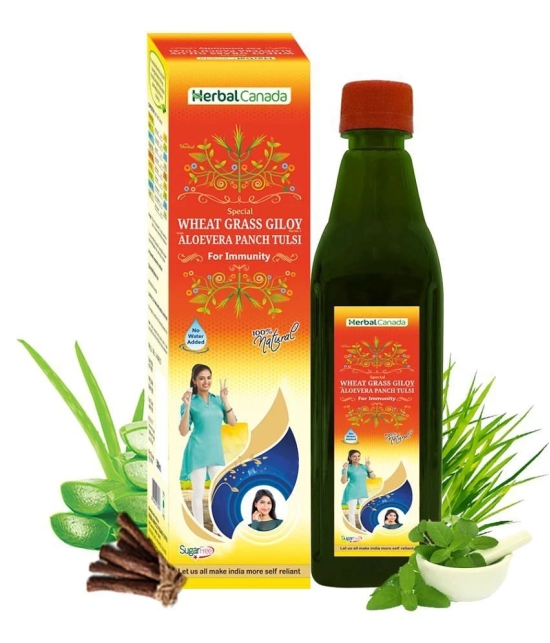 Herbal Canada Wheat Grass Giloy Ras Liquid 500 ml Pack Of 1