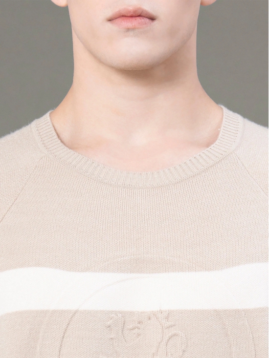 RedTape Round Neck Embossed Sweater for Men | Ultimate Comfort