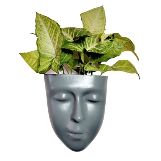 DZIGN Hanging Wall Planter, Face Planter, Balcony Planter, Wall Hanging Indoor Planter, Outdoor Planter, Head Planter for Home Decor and Garden Hanging. Grey Male Face Planter Pack of 1.