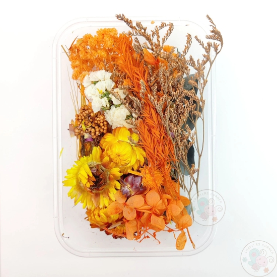 Mix Style Natural Dry Flowers #25