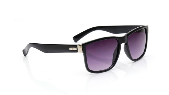 Grey Wayfarer Sunglasses for Men and Women