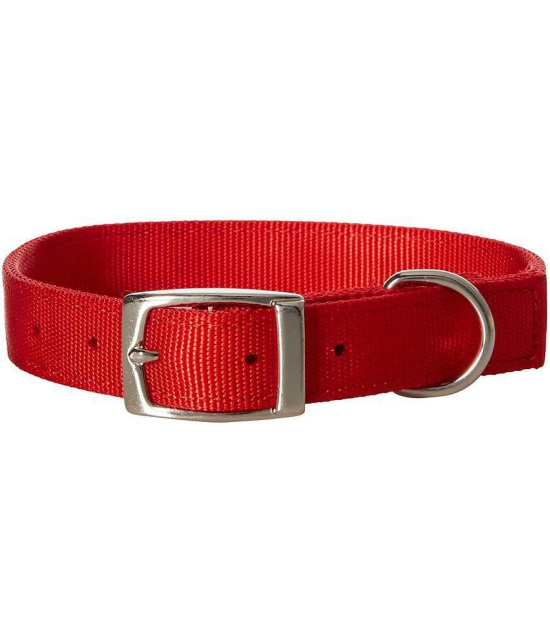 Big Size Adjustable Collar Belts for Pets - Pack of 3 - Dog Neck Belts - Random Colours Will Be Sent