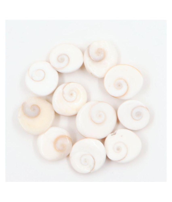 Arkam Gomti Chakra / Gomati Chakra / White Gomti Chakra / Original Premium Quality for Puja 12-15 mm - Set of 11 Pcs