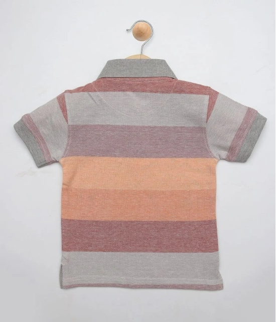 Boys Multi Color Polo T-Shirt