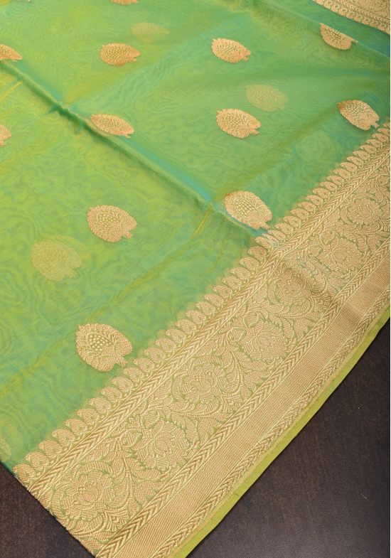 Green and mustard Dual Tone Exquisite Banarasi Organza Silk Saree with Zari Motifs | SILK MARK CERTIFIED