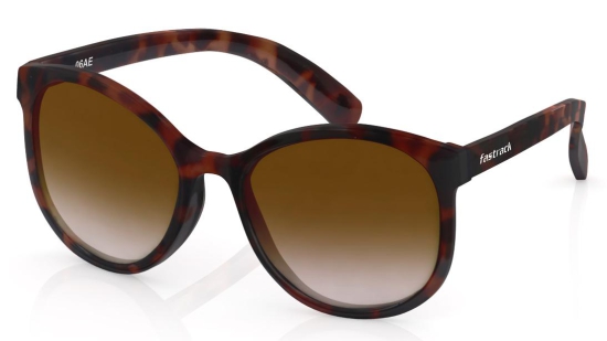 Brown Oval Women Sunglasses (P381BR1F|60)