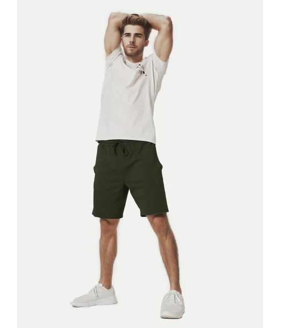 Radprix Green Cotton Mens Shorts ( Pack of 1 ) - None