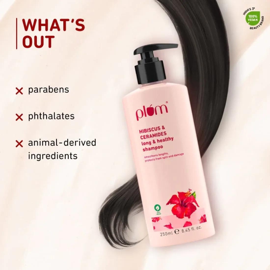 Hibiscus & Ceramides Smooth & Soft Hair Combo