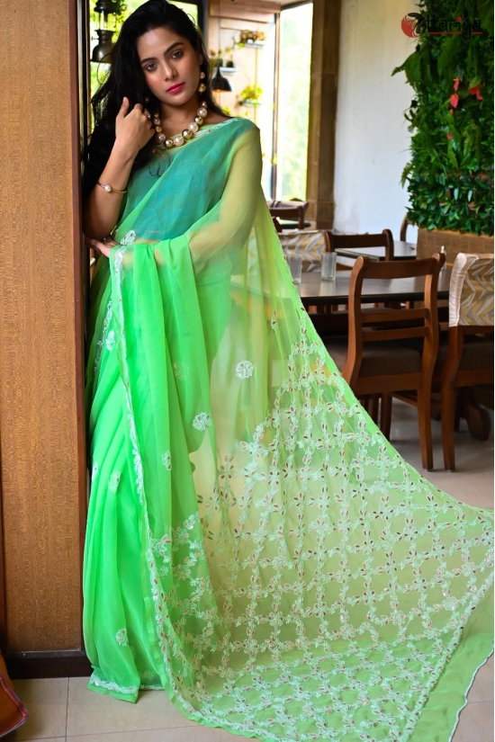 Lucknowi Saree