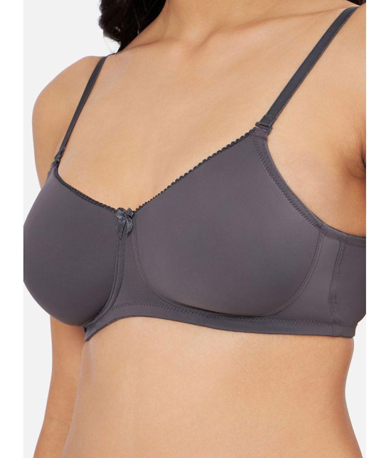 Amante - Dark Grey Nylon Lightly Padded Women's T-Shirt Bra ( Pack of 1 ) - None