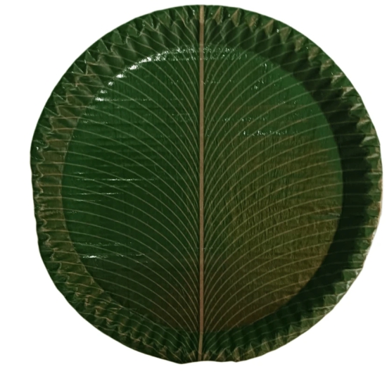 100% Natural Areca Leaf Plates | Disposable and Biodegradable | 12 Inches | Pack of 10