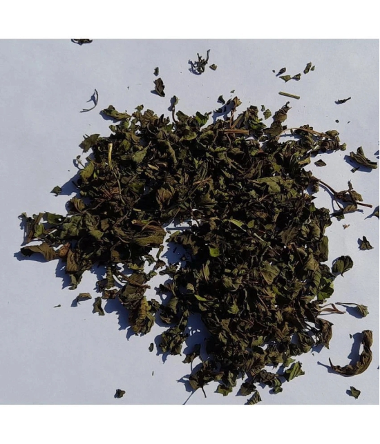 DIVINE EARTH HERBAL Green Tea Loose Leaf 50 gm