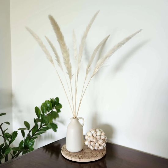 Elegant White Pampas-Pampas without Vase