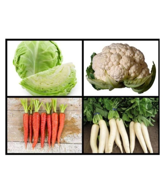 Super Saver Combo of 4 Hybrid Vegetables (Cabbage, Cauliflower, White Radish & Red Carrot) F1 HYBRID