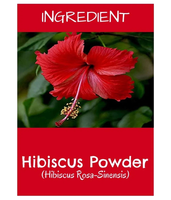 MR Ayurveda Hibiscus (Gudhal Powder) Hair Scalp Treatment 100 g