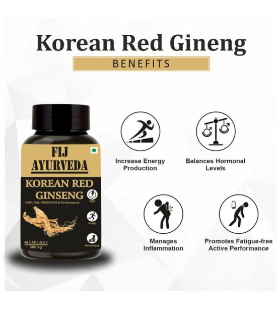 FIJ AYURVEDA Korean Ginseng Root Extract for Stamina & Power (Pack of 2)