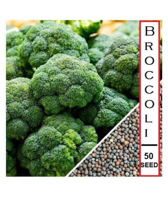 sky star agro & co. - Broccoli Vegetable ( 50 Seeds )