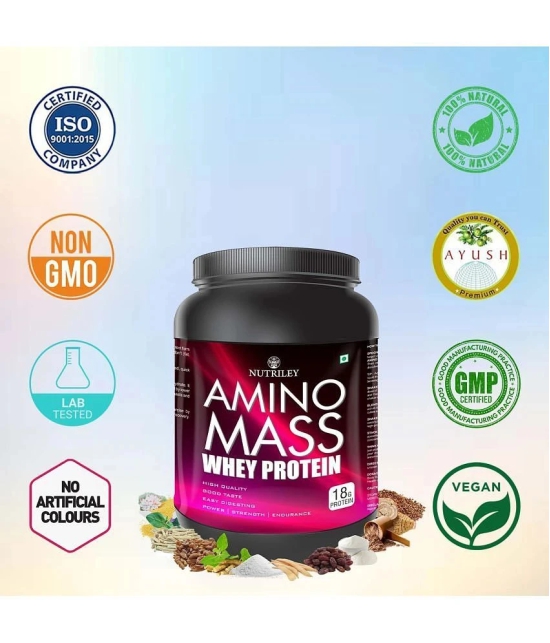 Nutriley Amino Mass Whey Protein ( 500 gm , American Ice Cream - Flavour )