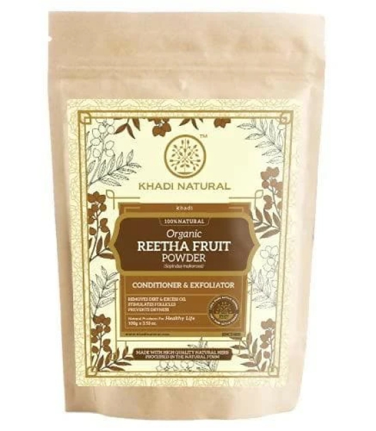 Khadi Natural Reetha Fruit Organic Powder 100 Gm (Pack of 2, 200Gm)