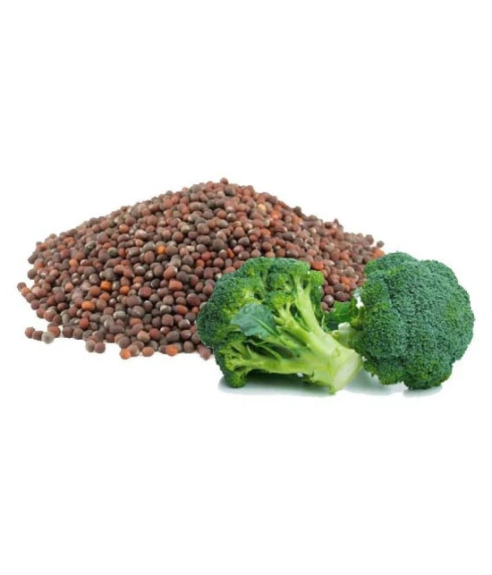 Broccoli hybrid seeds - 50 seed