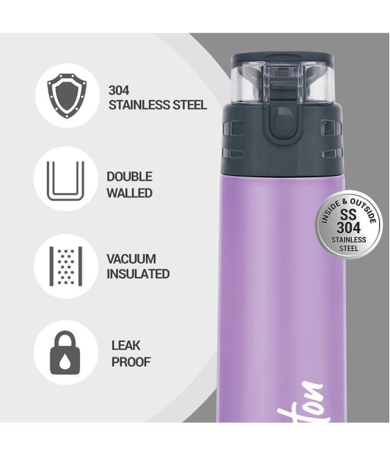 Milton Atlantis 400 Thermosteel Insulated Water Bottle, 350 ml, Purple | Hot and Cold | Leak Proof | Office Bottle | Sports | Home | Kitchen | Hiking | Treking | Travel | Easy To Carry | Rus