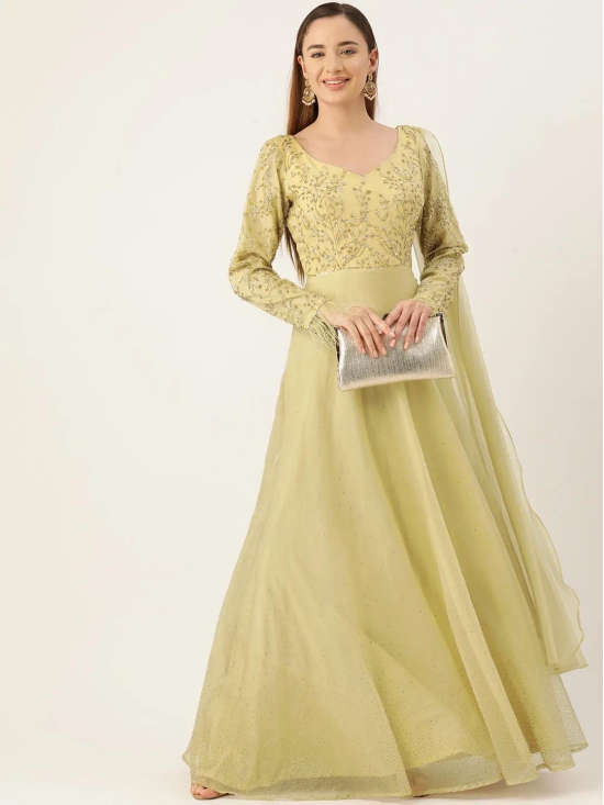 Desginer Green Net Gown-XXL