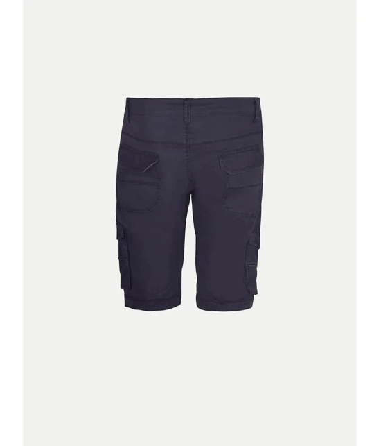 Radprix Blue Cotton Mens Cargos ( Pack of 1 ) - None