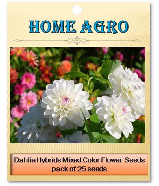 homeagro - Dahlia Mixed Flower ( 25 Seeds )