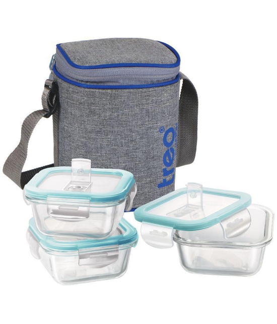 Treo by Milton All Fresh Square Glass Tiffin Containers With Insulated Jacket, 320 ml Each, Grey