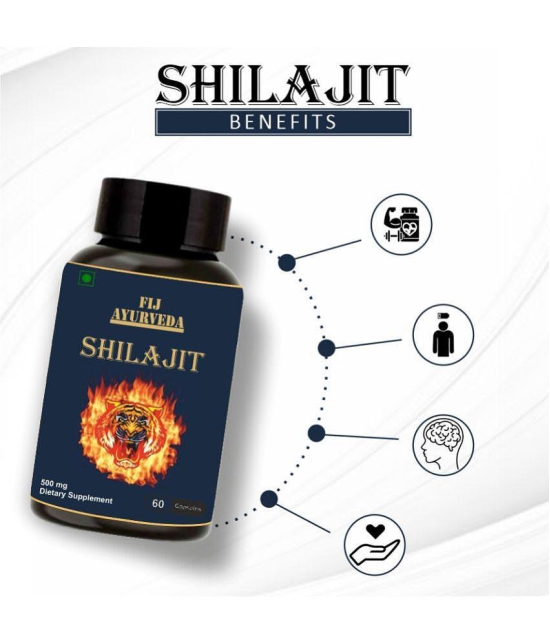 FIJ AYURVEDA Shilajit  Capsule Supports Vigor & Vitality - 500mg 60 Capsules (Pack of 2)