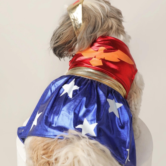 Dog Clothes| Wonder Woman Pet Costume | Sizes and Colours Available| Claws N Paws-XS