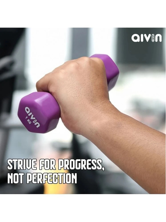 Aivin Iron 1 Kg Fixed Hex Dumbbell