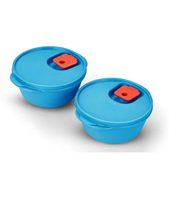 Oliveware Plastic Blue Food Container ( Set of 2 ) - Blue