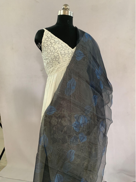 NVBO005-Black Color Organza | Per meter