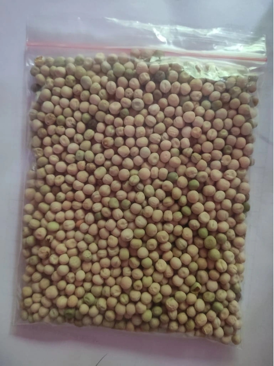 chickpea ( chana buat )