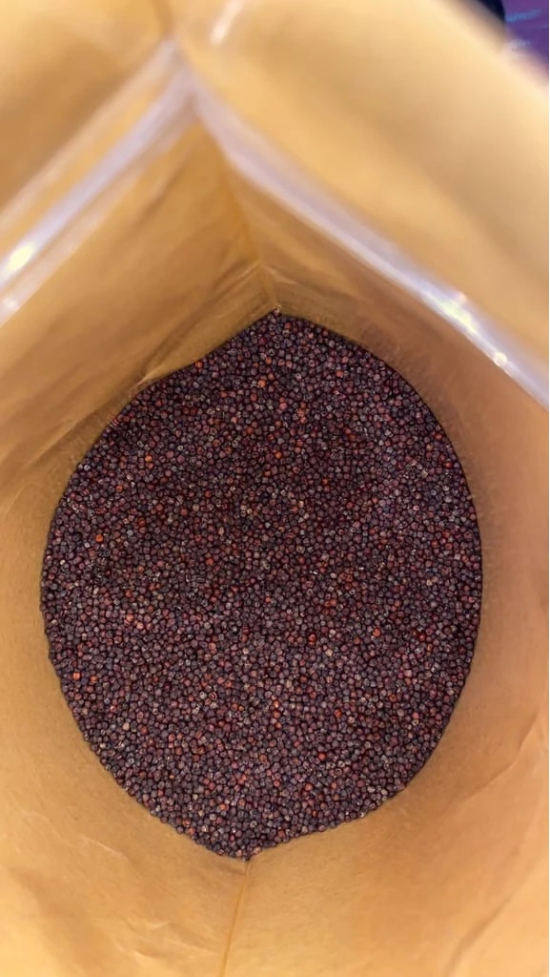 Mandua/ Ragi Seeds (1 Kg) / Finger Millet