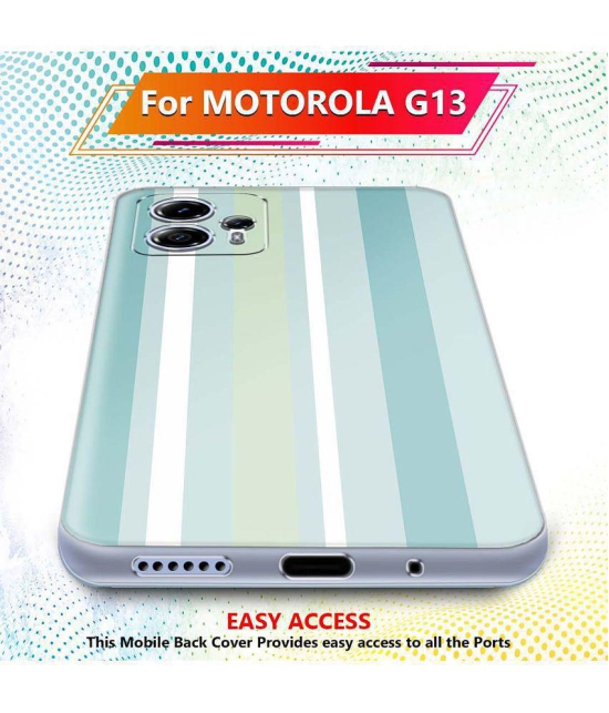 Fashionury Multicolor Printed Back Cover Silicon Compatible For Moto G13 ( Pack of 1 )