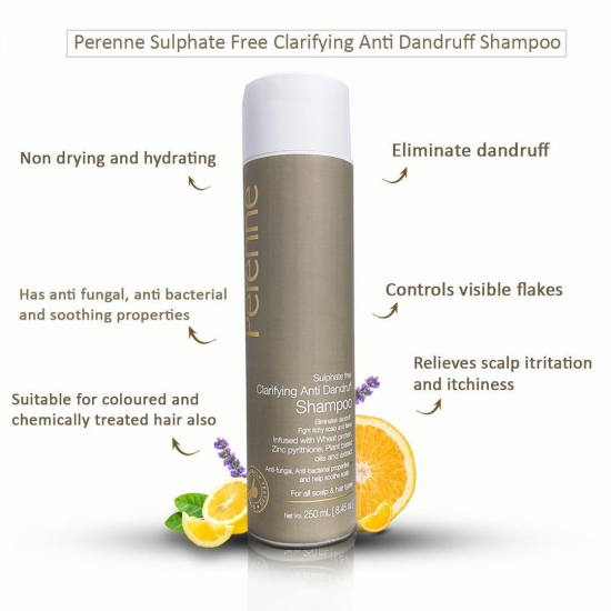 Perenne Clarifying Hair Strengthening Kit For Dandruff, Hair Fall & Hair Growth