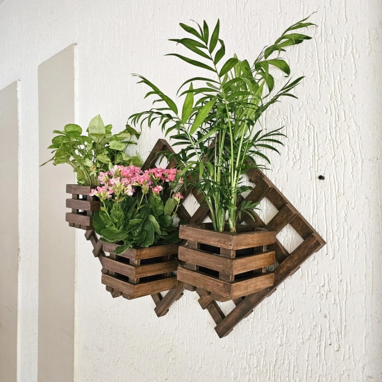 Wall Mounted Planter - Diamond