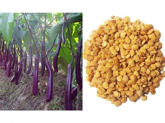 Natural garden plants Brinjal Seeds Long Hybrid F1 Variety Heirloom Vegetable - 100 Seeds-Packet