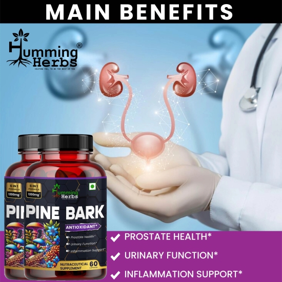 Humming Herbs Pine Bark Extract Capsules 1200mg - Potent Antioxidant for Prostate Health, Urinary Function, and Inflammatory Support - With Lions Mane, Turmeric, Alpha Lipoic Acid - Pack of 2