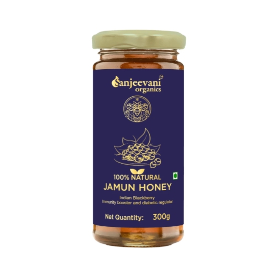 Sanjeevani Glass Jar Pack of 3 | 100% Natural Neem Honey | Raw Unprocessed Natural Neem Honey 300g | Barsana Organic Cow Ghee 500ml |  Wood Churned with Bilona Process | 100 % Natural Jamun Honey 300g | Indian Blackberry Multi Floral Natural Honey