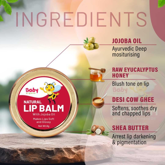 BabyOrgano Ayurvedic Natural Lip Balm | Infused with Cow Ghee & Jojoba Oil | Enriched With Shea Butter | Heals Dry And Chapped Lips in Kids | Safe For Kids-Beetroot