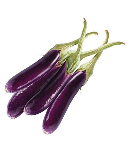 Brinjal (Bengan) Purple Long Quality Seeds - Pack of 50 F-1 Hybrid Seeds