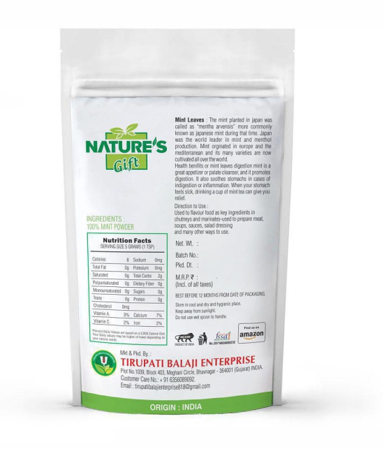 Nature''s Gift - 100 gm Mint Powder (Pack of 1)