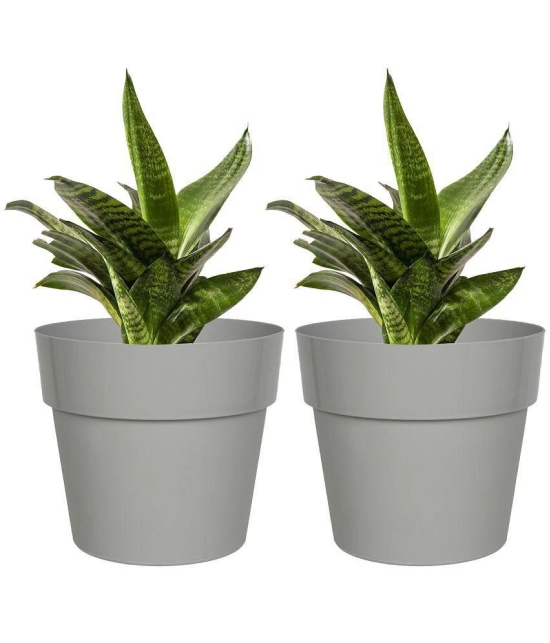 HOMETALES Grey Color Plastic Pots & Planters for Gardening, Indoor & Outdoor ( Pack of 2 ) - 14cm (Length) - Grey