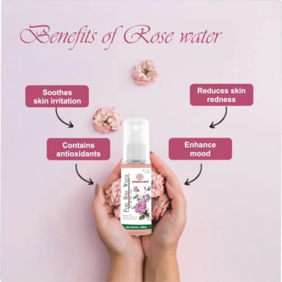 Soundarya Herbs Pure Rose Water - 100ml Cleanses, Hydrates & Moisturises Skin | Balances & Restores Skins pH Levels | For All Skin Types