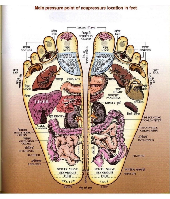 ZIPPIWUD Acuapressure Foot Massager