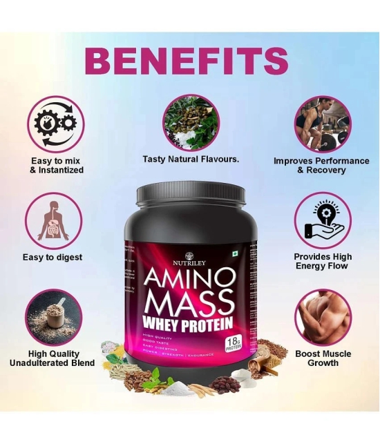 Nutriley Amino Mass Whey Protein ( 500 gm , American Ice Cream - Flavour )