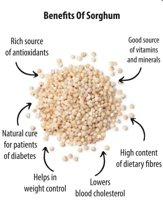 Future Foods Premium Sorghum/Jowar Flour | High Protein | Gluten Free | Rich Source of Antioxidants | Dietary Fiber Rich | Ideal of Diabetic Patients | Supports Weight Control | 450g